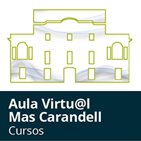 Aula Virtual - Mas Carandell - cursos