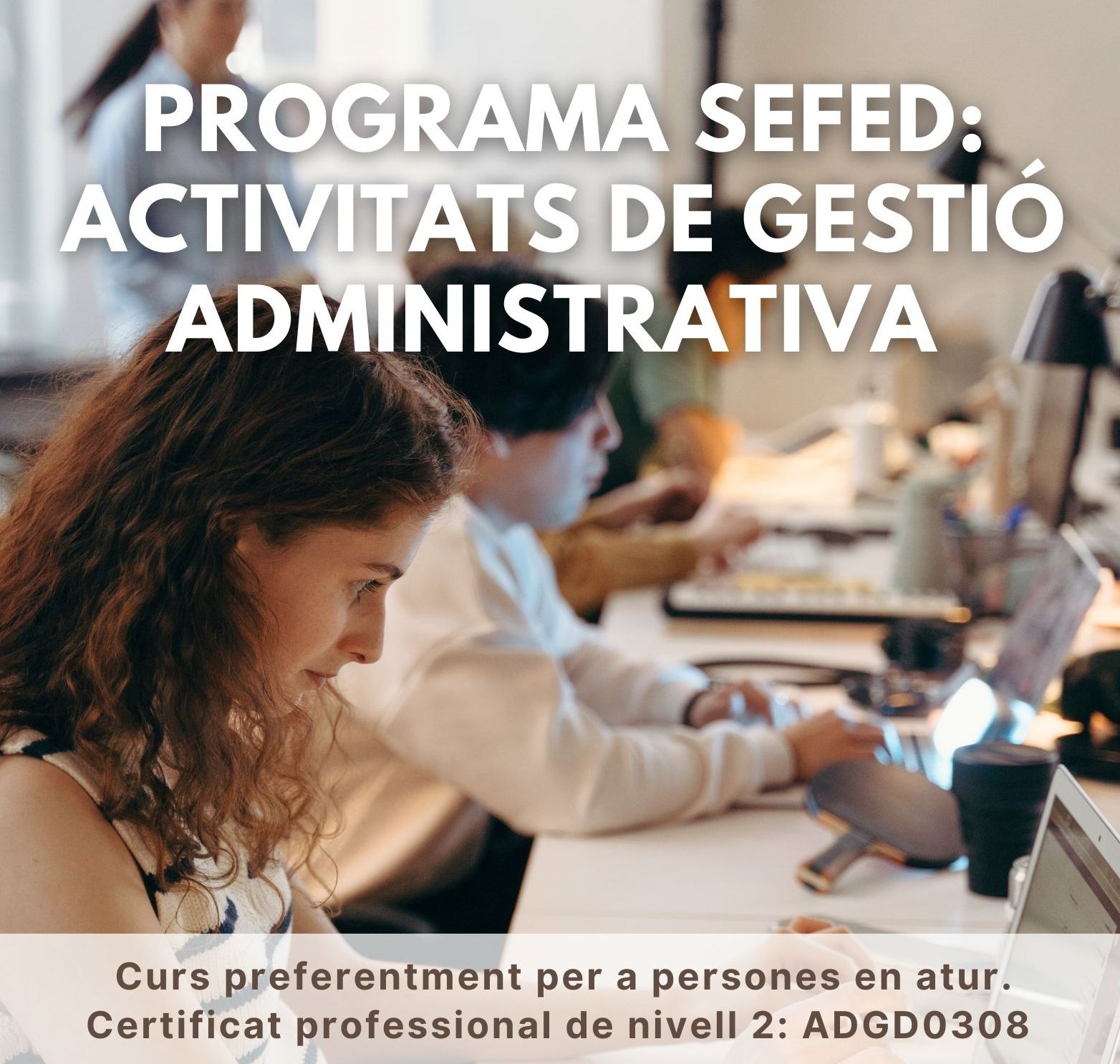 Imatge coberta de Sessió informativa del Programa SEFED - Activitats de gestió administrativa (ADGD0308)